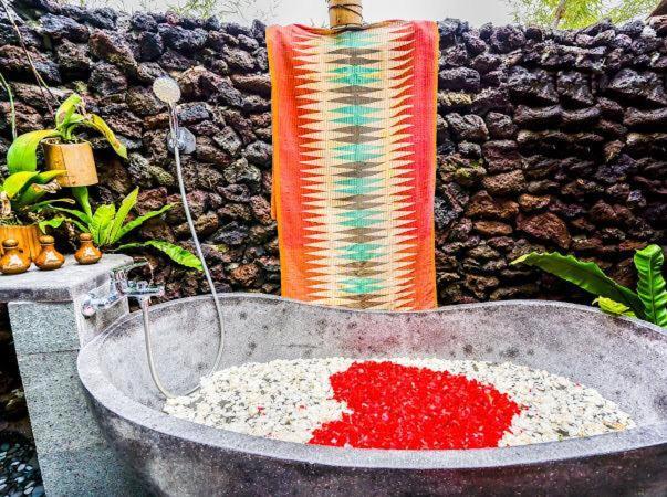 Swarma Villa Ubud Near Sacred Monkey Forest Sanctuary Buitenkant foto